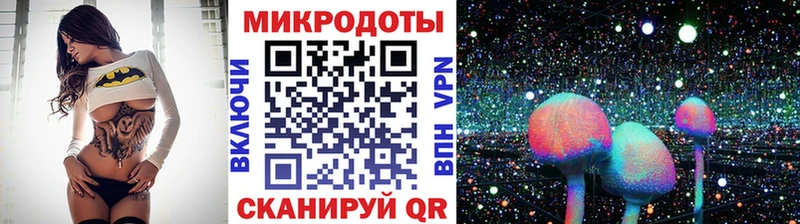 мориарти клад  Суздаль  Галлюциногенные грибы Psilocybe  ссылка на мегу tor 