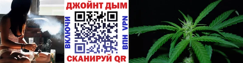 наркотики  Суздаль  Бошки Шишки White Widow 
